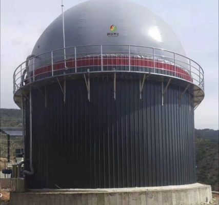 De Productie van het het Ontwerpbiogas van de biogassceptische put in het Bioproject van de Gasinstallatie