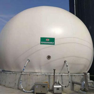 Flexibele Installatie van het de Houderspdfe Containerised Biogas van het Anaerobiosis de Biogas