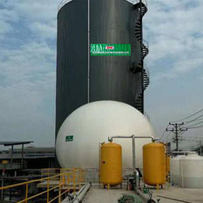 Productie van het de Elektrische centralebiogas van het Biodigester de Biogas van Koemest