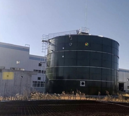 De Productie van het het Ontwerpbiogas van de biogassceptische put in het Bioproject van de Gasinstallatie