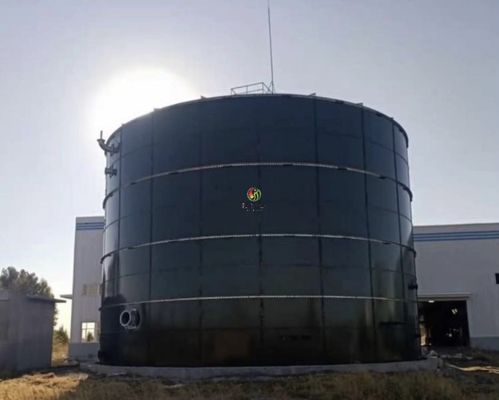 Materiaal van het de Autoclaafbiogas van de hydrolyse het Anaërobe Spijsvertering Anaërobe