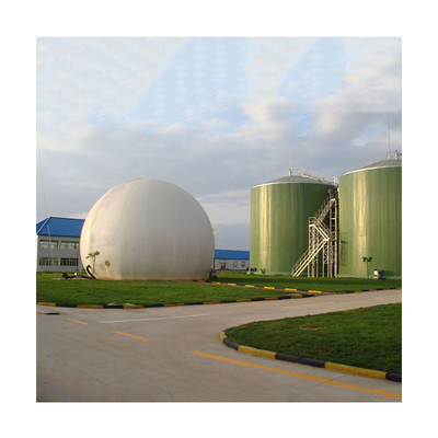 Van de de Autoclaaftank van de varkensmest Capaciteit van de het Biogas de Anaërobe Autoclaaf