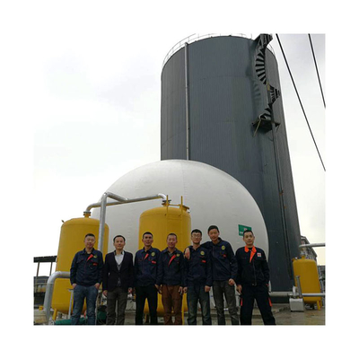 Van de de Autoclaaftank van de varkensmest Capaciteit van de het Biogas de Anaërobe Autoclaaf