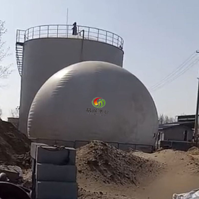 Biogasproductie van het Biogasmateriaal van het Keukenafval