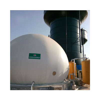 Van de de Energieomzetting van het lage Kostenbiogas Groene het Biogasinstallatie