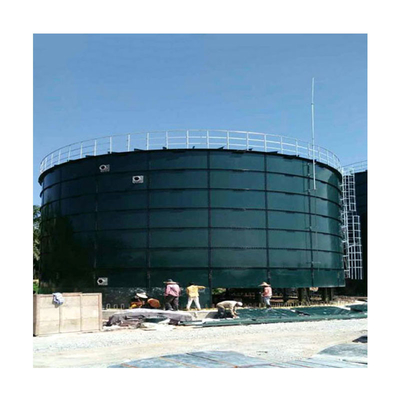Van de de Energieomzetting van het lage Kostenbiogas Groene het Biogasinstallatie