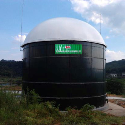 Biomassa en Biogas de Installatie van het Energiebiogas voor Elektriciteitsopwekking