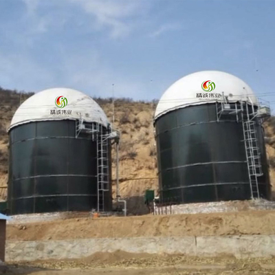 Biomassa en Biogas de Installatie van het Energiebiogas voor Elektriciteitsopwekking