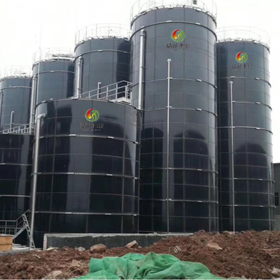 Biomassa en Biogas de Installatie van het Energiebiogas voor Elektriciteitsopwekking