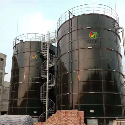 Biomassa en Biogas de Installatie van het Energiebiogas voor Elektriciteitsopwekking