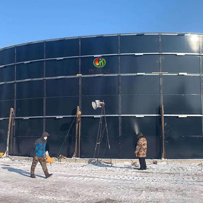 Dung Gas Plant Human Waste-Anaërobe de Spijsverteringselektrische centrale van de Biogasinstallatie