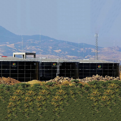 Dung Gas Plant Human Waste-Anaërobe de Spijsverteringselektrische centrale van de Biogasinstallatie