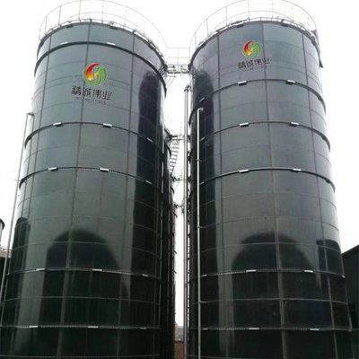 Industriële anaërobe vergistingsapparatuur met glad en gepolijst oppervlak
