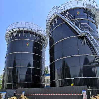 Industriële anaërobe vergistingsapparatuur met glad en gepolijst oppervlak