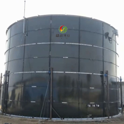 Het Project van de biogasproductie van Installaties van het Gevogelte de Afval Geprefabriceerde Biogas