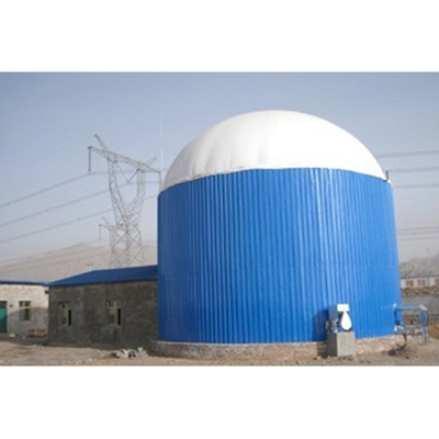 Het Ontwerp van de biogasinstallatie en Bouw voor Behandeling van afvalwater