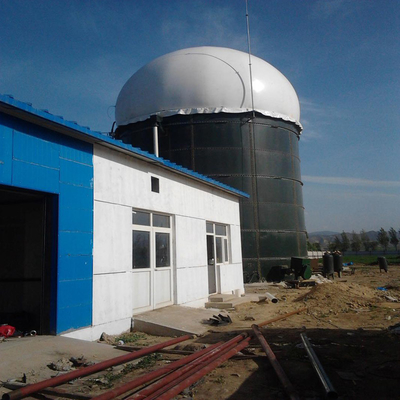De anaërobe Elektrische centrale van het Autoclaafbiogas van Koemest