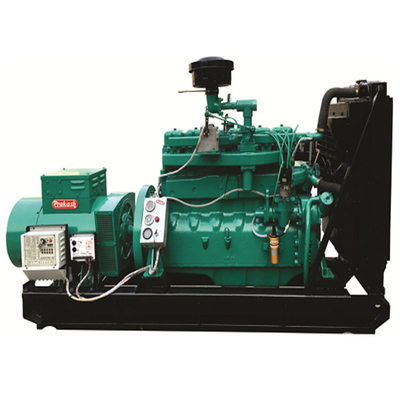 Lichte biogas-energiegenerator met verf