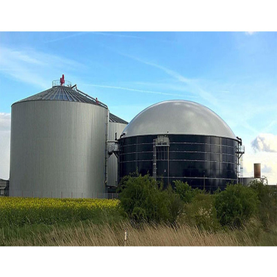 Draagbare 220V/380V anaërobe spijsverteringsapparatuur voor spijsvertering