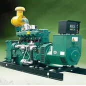 Anaërobe vertering Biogas elektriciteitsgenerator laag geluidsniveau