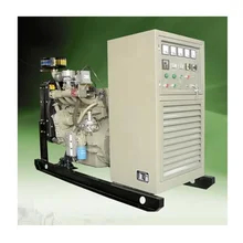 Sprayverf Biogas Electrical Generator Brandstoftype Biogas
