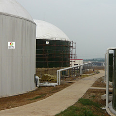 Vloeibaar gemaakt anaëroob - het Biogas van de bedreactor UASB van Kippenmest