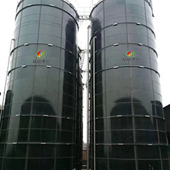 Upflow van de biogasegsb Reactor Anaërobe Modder Algemene Spijsvertering voor Kippenmest