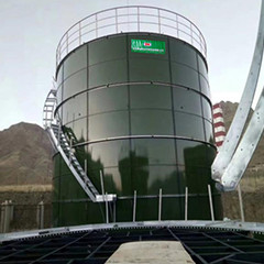 De Anaërobe Reactor van het biogasafvalwater met Partij/Ononderbroken Ontwerp