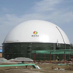 Van de de Reactorwaterzuiveringsinstallatie van EGSB de Anaërobe Autoclaaf van het de Mestmethaan