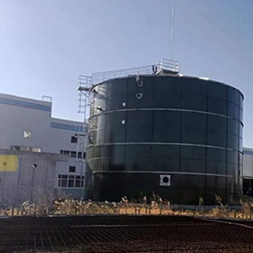 Van de de Reactorwaterzuiveringsinstallatie van EGSB de Anaërobe Autoclaaf van het de Mestmethaan