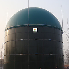 Van de de Reactorwaterzuiveringsinstallatie van EGSB de Anaërobe Autoclaaf van het de Mestmethaan