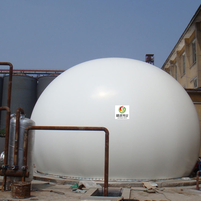 Flexibele Installatie van het de Houderspdfe Containerised Biogas van het Anaerobiosis de Biogas