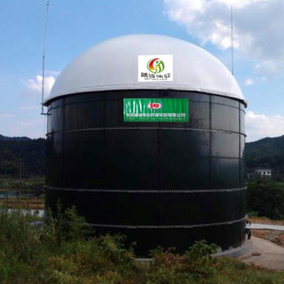 Flexibele Installatie van het de Houderspdfe Containerised Biogas van het Anaerobiosis de Biogas