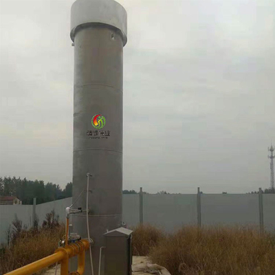 Fe2O3 H2S de Gaszuiveraar van Co2 voor Biogas het Schrobben Systeem 10PPM