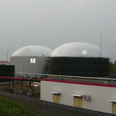 H2S Ontzwaveling van het het Materiaal10ppm de Natte Rookgas van de Biogasreiniging
