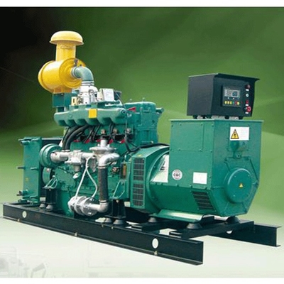 200KW van het de Reeks415v Gas van de biogasgenerator de TurbineElektriciteitsopwekking