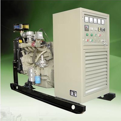 De alternatieve 100 KW-van het het Huisbiogas van de Biogasgenerator Elektrische Generator