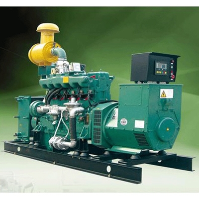 100KW het Biogas Elektrische Generator Met motor van biomassagenerators voor Huis