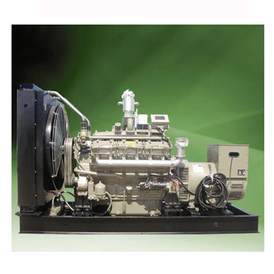 Kleinste 200KW-van het de Generator Stille Methaan van de Biogaselektriciteit de Generatorelektriciteit