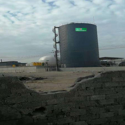 CHP van koedung biogas chp plant EGSB Afvalwaterzuiveringsinstallatie