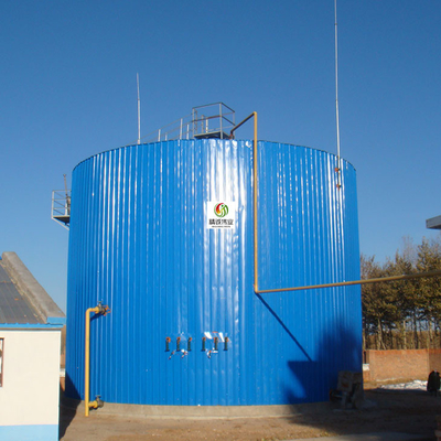 CHP van koedung biogas chp plant EGSB Afvalwaterzuiveringsinstallatie