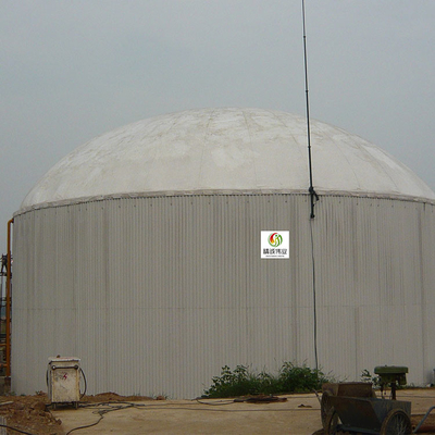 Anaërobe van de het Gashouder van het Reactorbiogas van de het Methaanautoclaaf Woon Bio het Gashouder