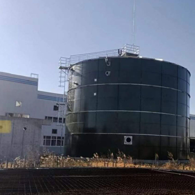 Hoge Rate Anaerobic Reactor Anaerobic Fixed Economische de Filmreactor van EGSB